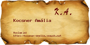 Kocsner Amália névjegykártya